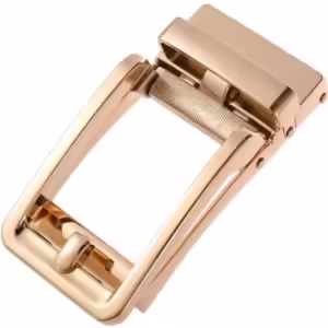 Alleen Gesp - Goud